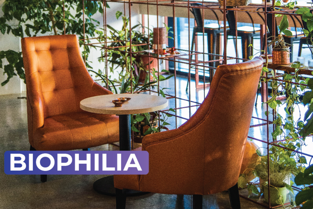 Biophilia is a term used for Naturalist Theme in Interior Designing